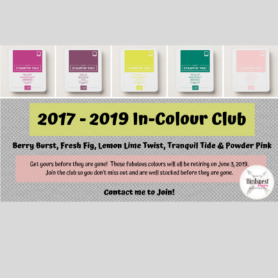 2017-2019 In - Colour Club