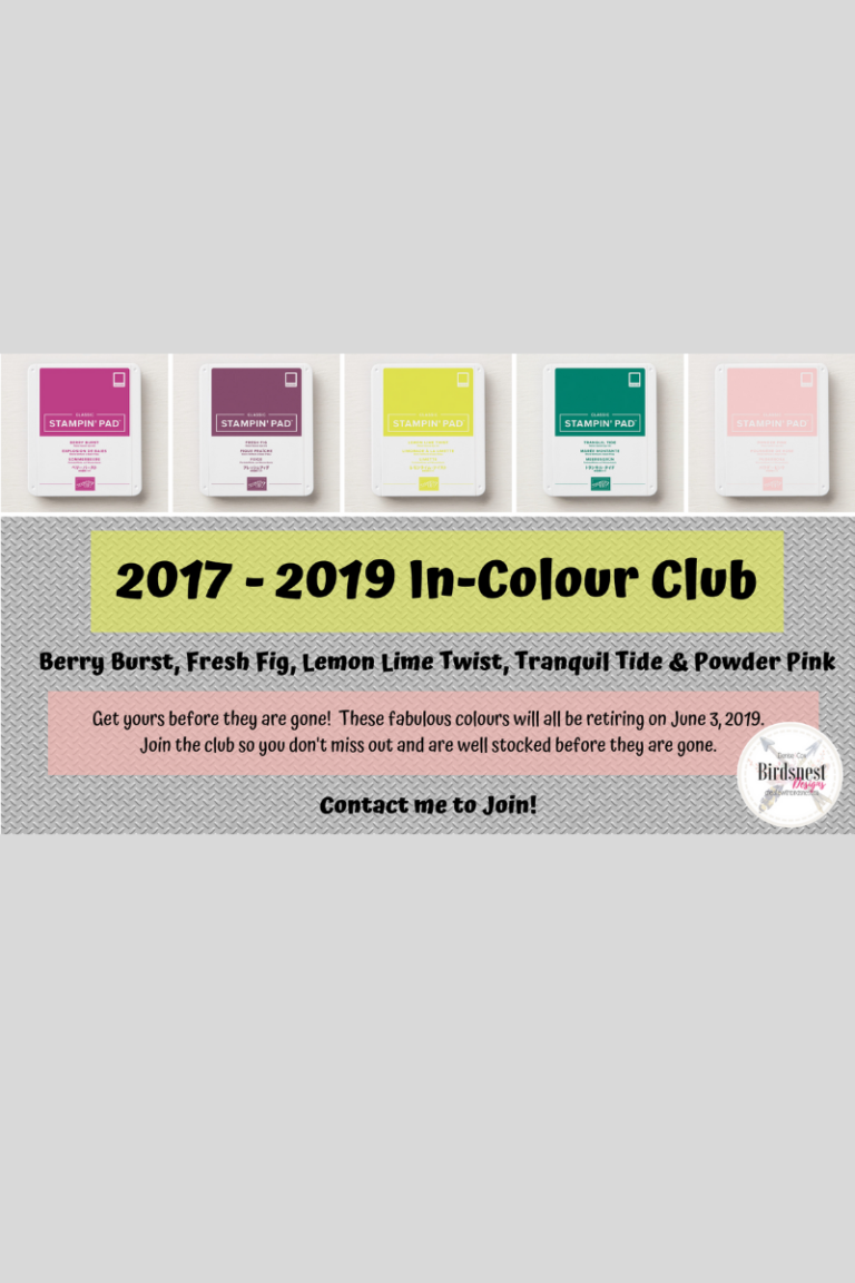 2017-2019 In - Colour Club