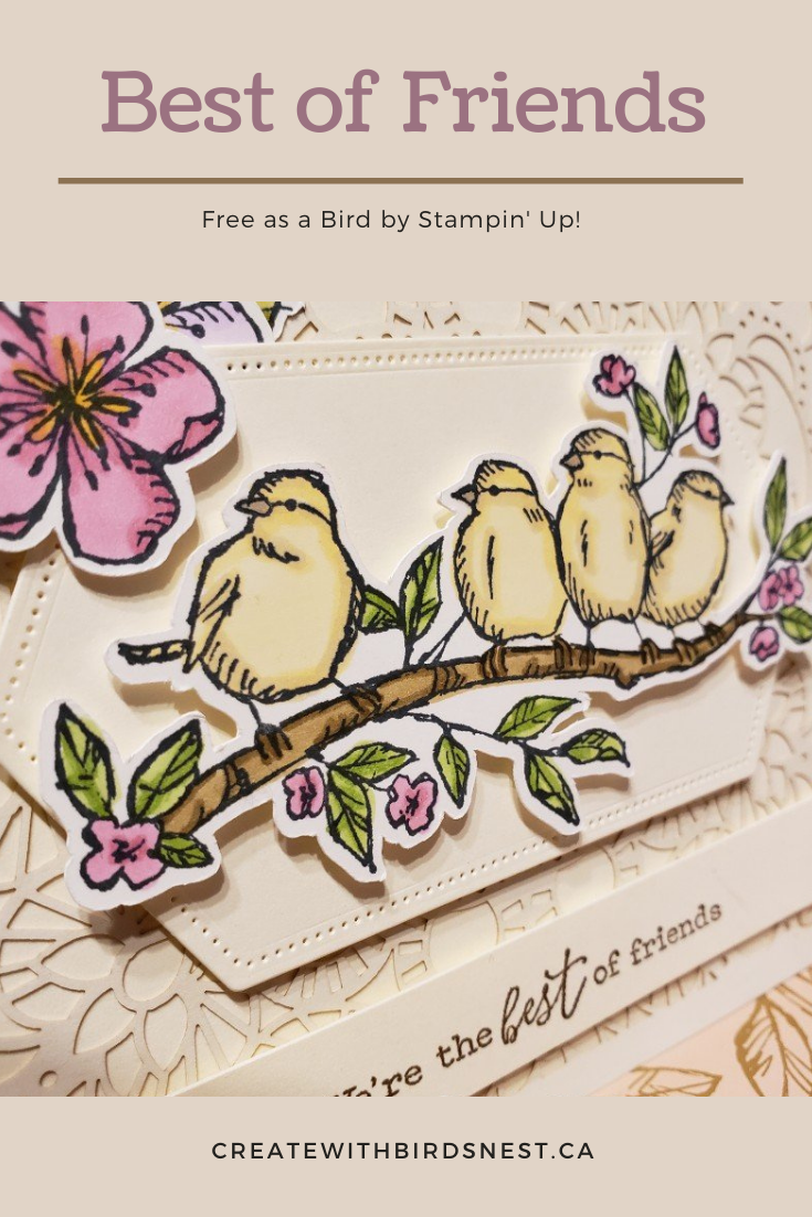 Best of Friends card using Free As A Bird stamp set via @denise34
