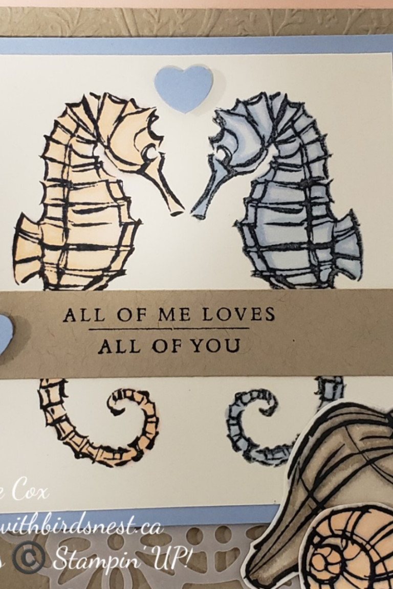 Summer Lovin’ with Seaside Notions