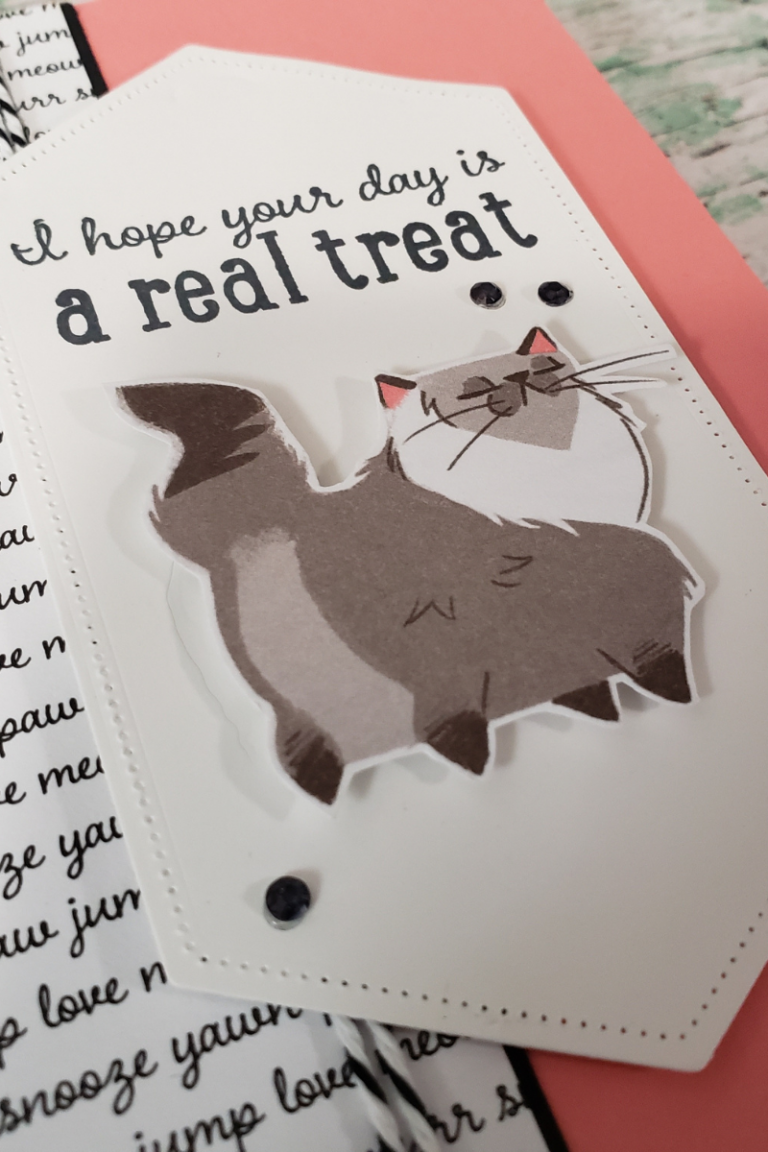 Pampered Pets Birthday Cards