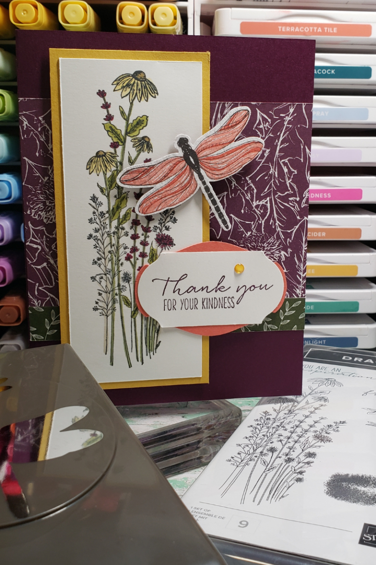 Dragonfly Garden: A Gorgeous Bundle