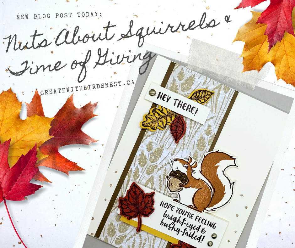 Nuts About Squirrels & Time of Giving Bundle! • Birdsnest Designs