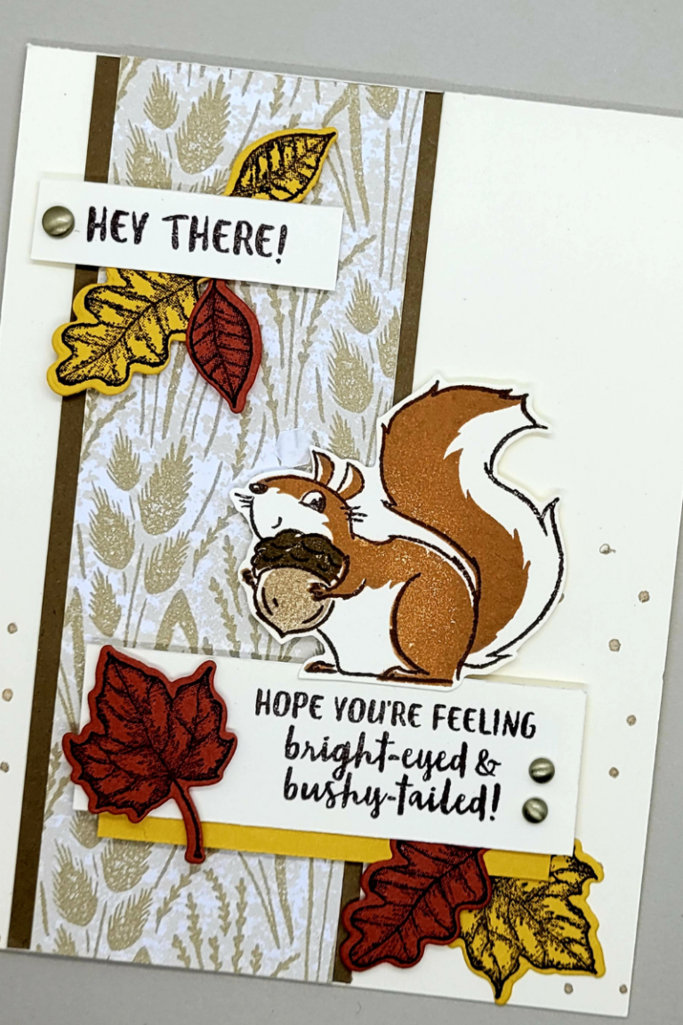 Nuts About Squirrels & Time of Giving Bundle!