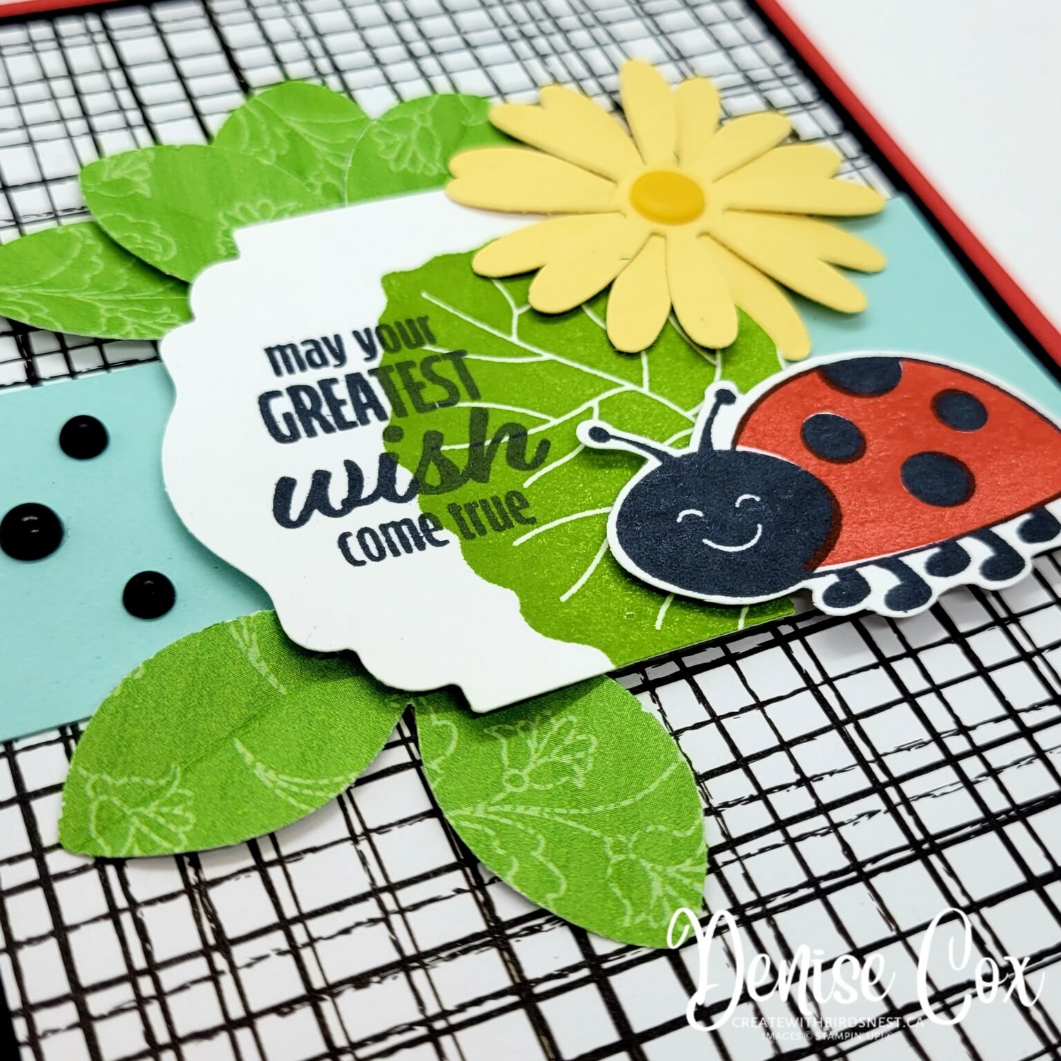 Hello Ladybug Bundle Club Cards • Birdsnest Designs | Denise Cox
