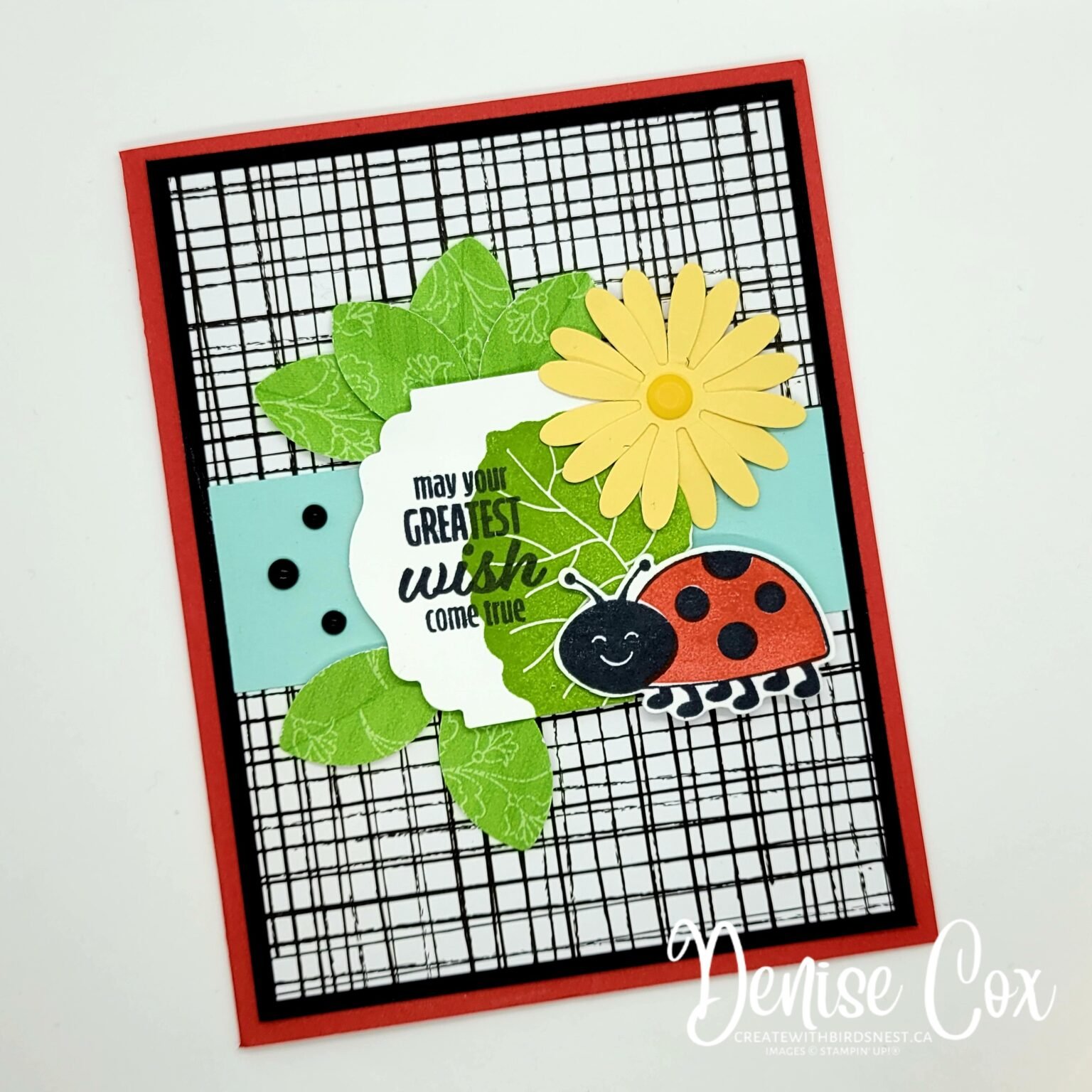 Hello Ladybug Bundle Club Cards • Birdsnest Designs | Denise Cox