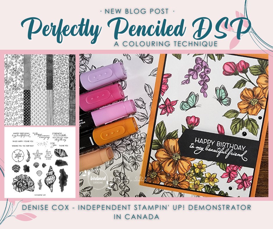 Colouring Technique with Perfectly Penciled DSP • Birdsnest Designs