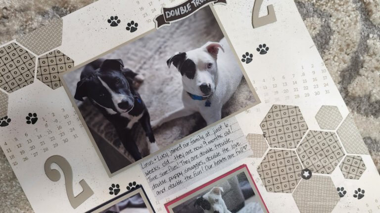 Scrapbooking with Stampin' Up! Days to Remember stamp for the Scrapbooking Global Blog Hop June 2022 Numbers Theme