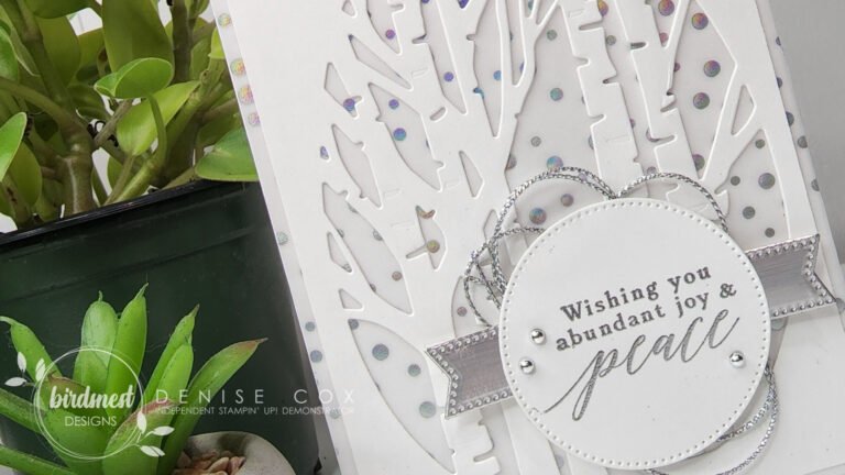 Simple & Elegant with Perched In A Tree