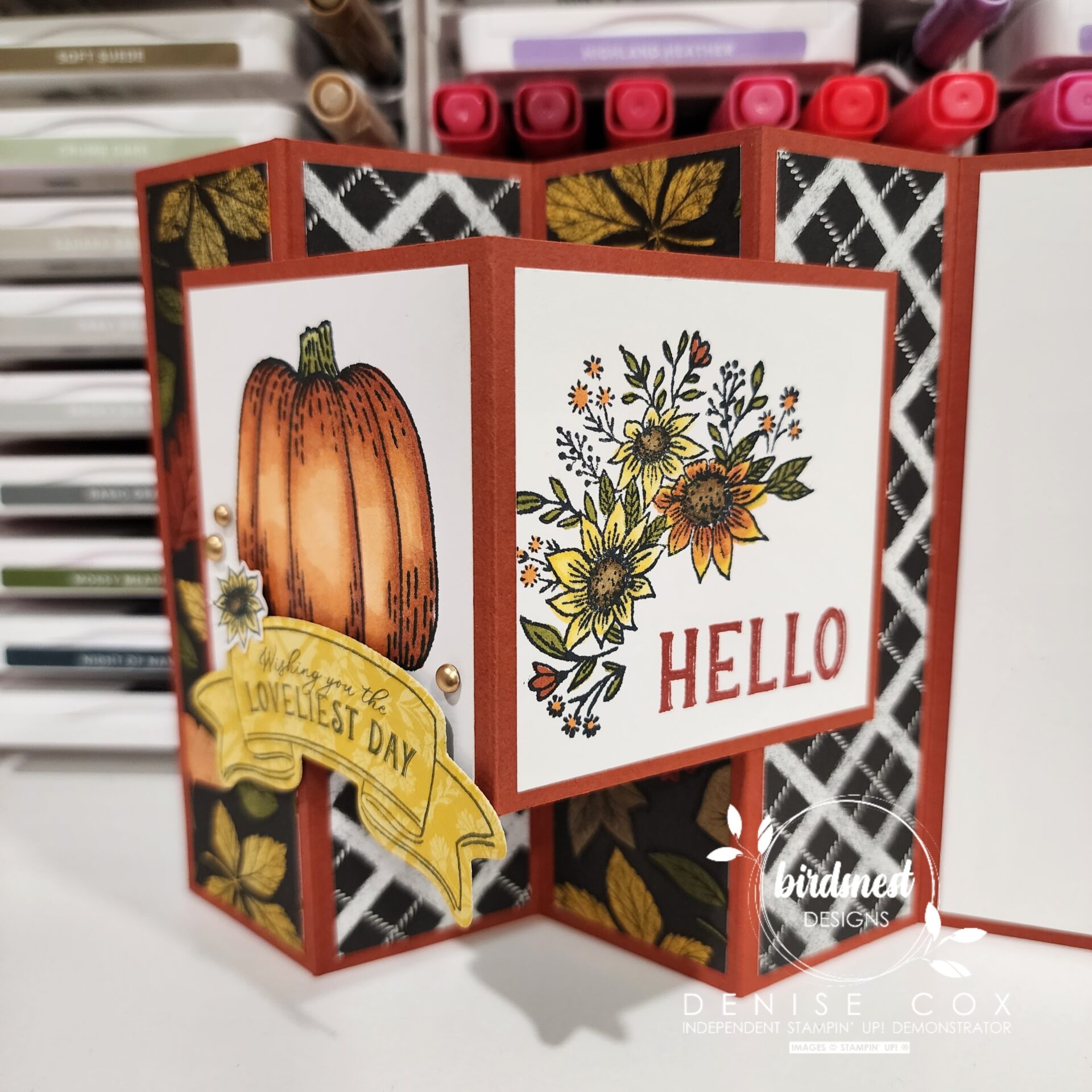 Easy to make accordion fold card using the Stampin' Up! Hello Harvest product suite
