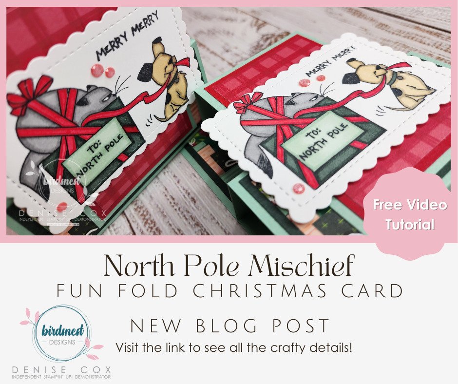 Where can i watch north pole open for christmas