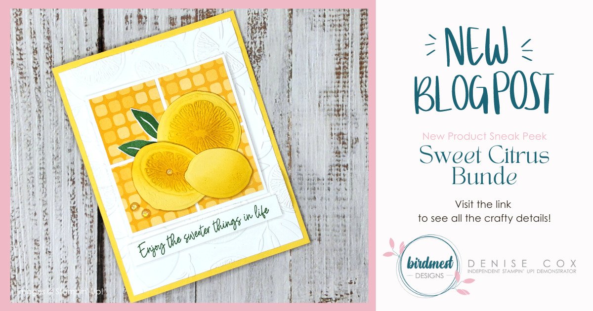 Sweet Citrus Bundle Sneak Peek • Birdsnest Designs