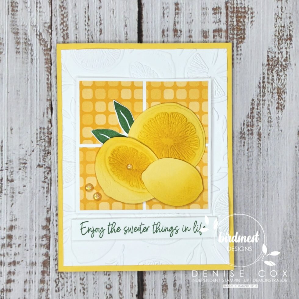 Sweet Citrus Bundle Sneak Peek • Birdsnest Designs