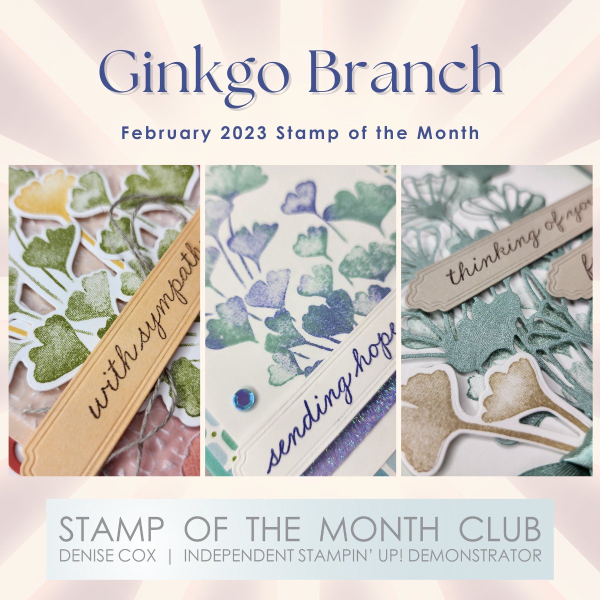 January - April Mini Catalogue Paper and Ribbon Share graphic