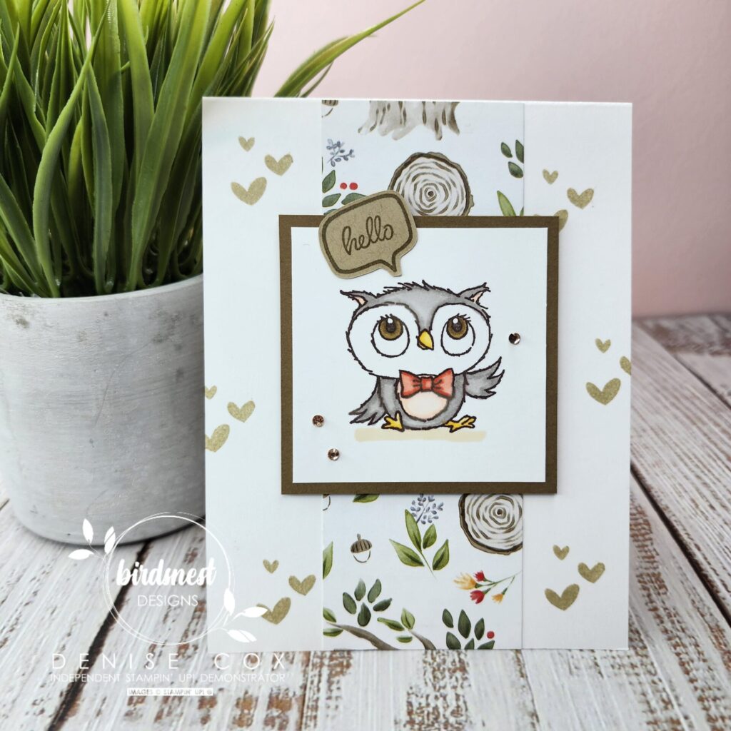 Photo of the Adorable Owls card standing on a table beside a plant