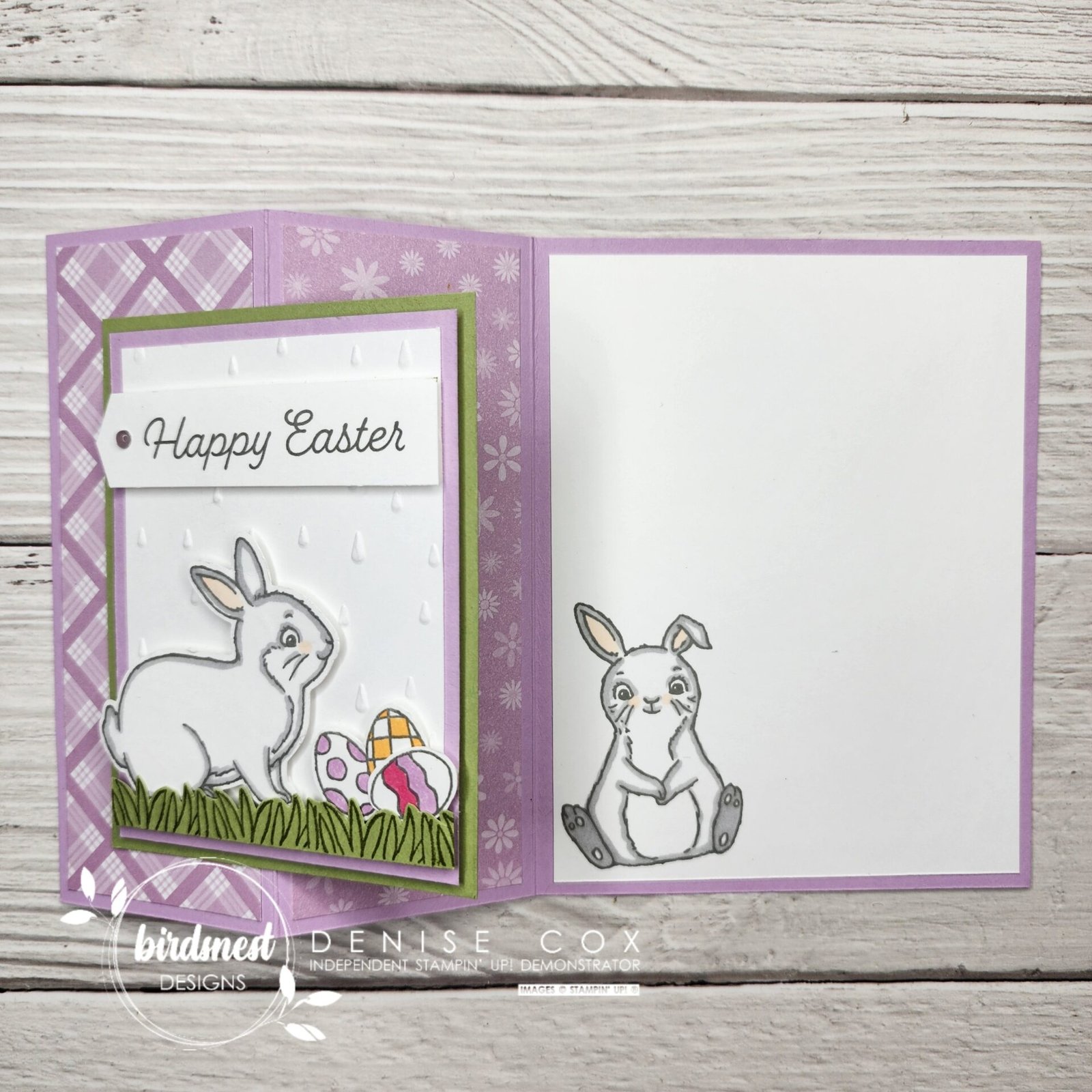 Easter Bunny Z-Fold Card • Birdsnest Designs