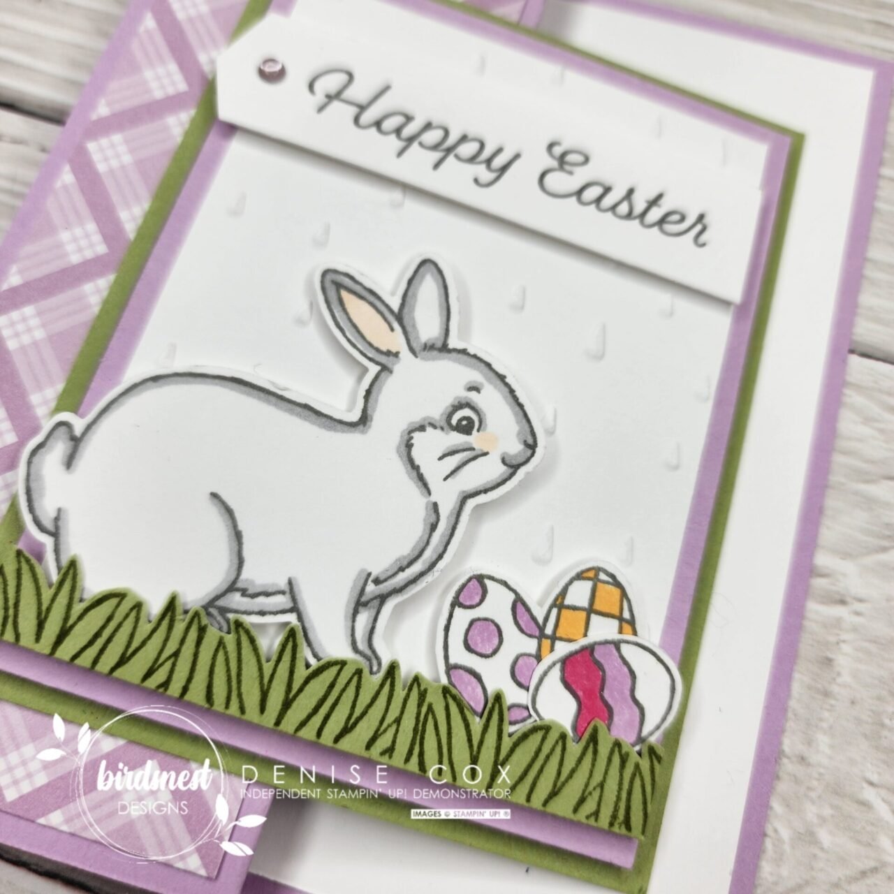 Easter Bunny Z-Fold Card • Birdsnest Designs