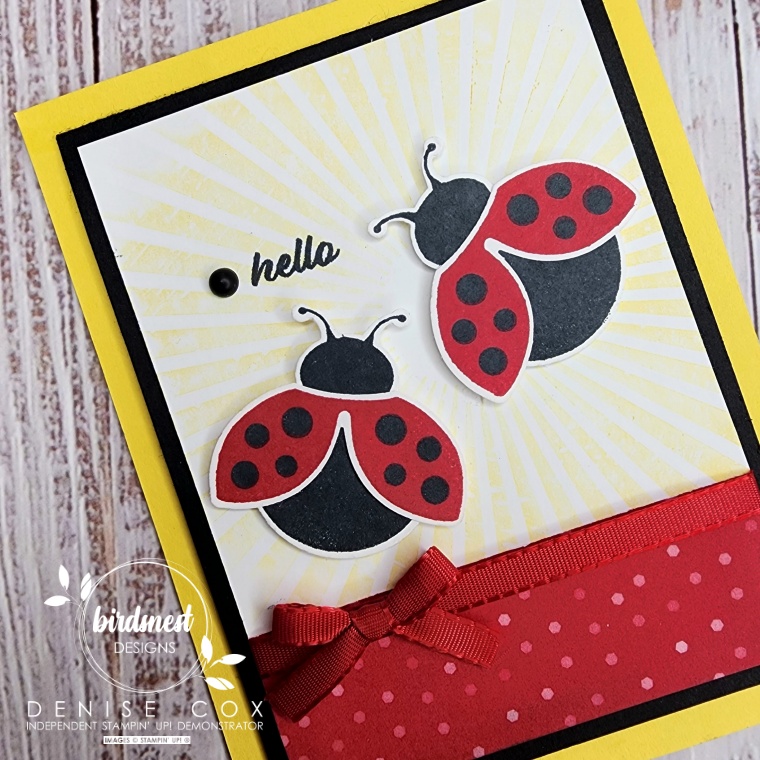 Close up photo of the Stampin' Up! Hello Ladybug card front