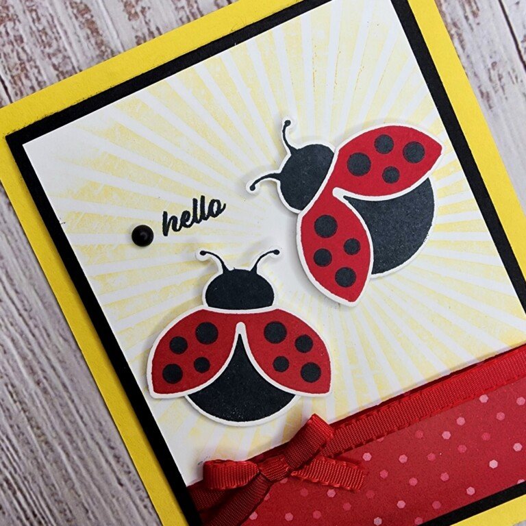 Hello Ladybug with Rays of Light Background