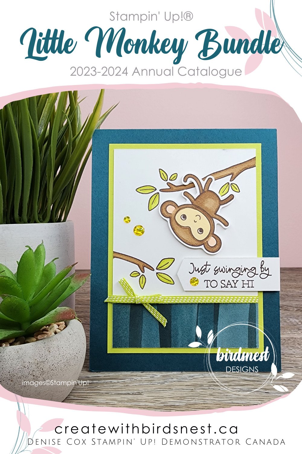Little Monkey: Just Swinging By To Say Hi via @denise34