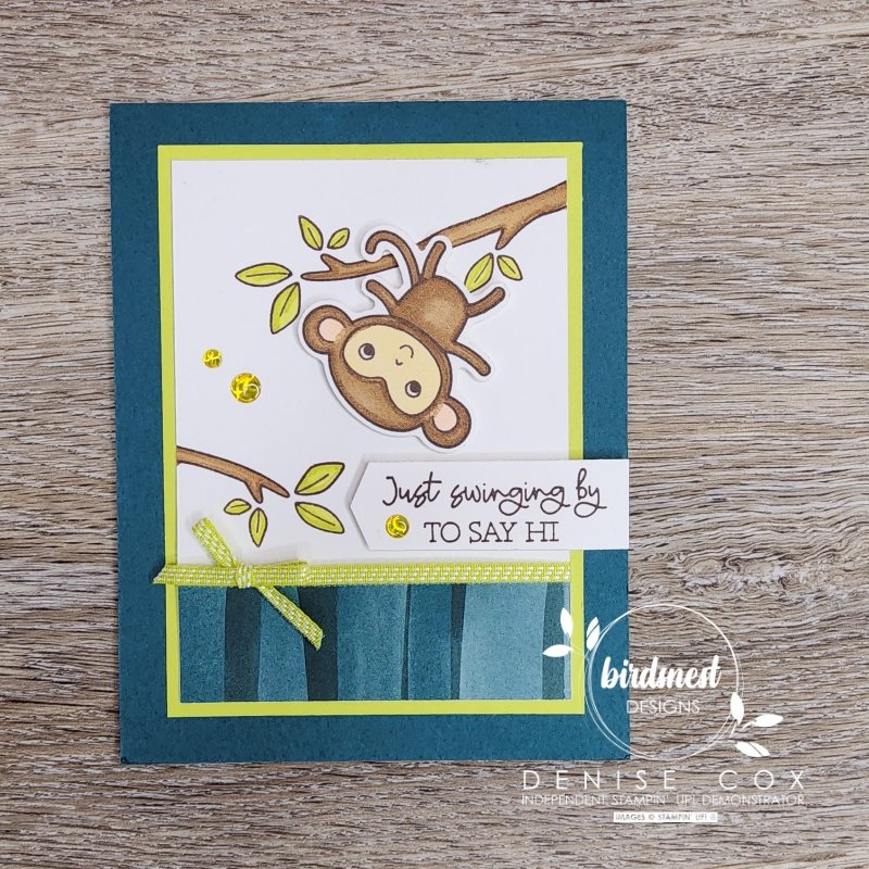 Photo of the Little Monkey card front