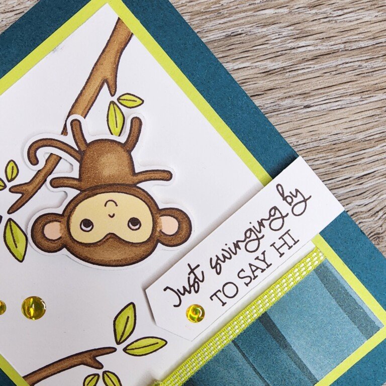 Little Monkey: Just Swinging By To Say Hi