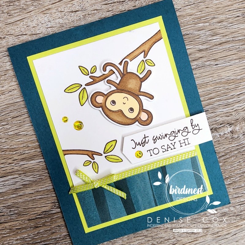 Close up photo of the front of the Stampin' Up! Little Monkey card