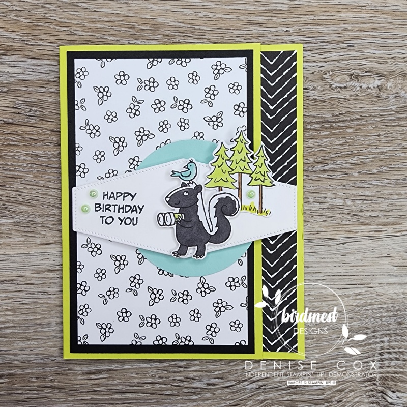 Photo of the front of the closed Zany Zoo fun fold card