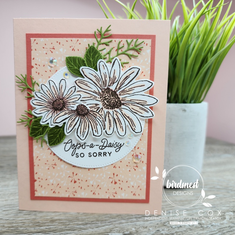 Photo showing the card made with the Stampin' Up! Cheerful Daisies bundle standing on a table by a plant