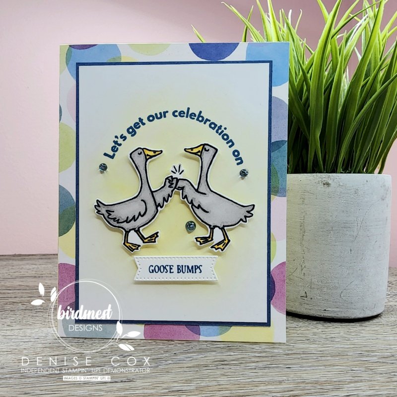 Photo of the Stampin' Up! Silly Goose birthday card displayed on a table standing up by a plant