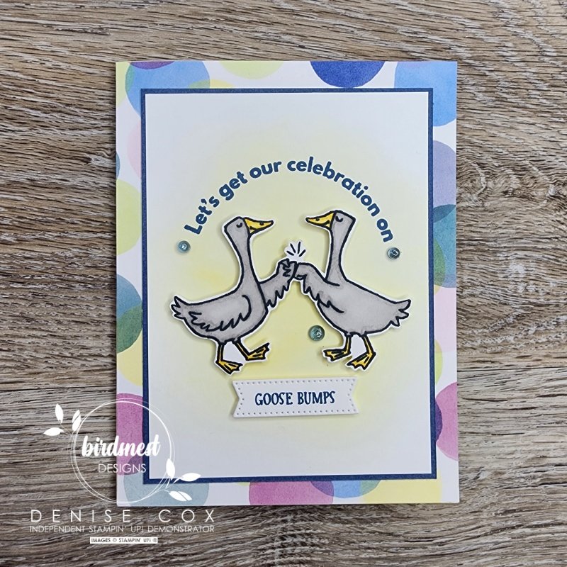 Close up photo of the Stampin' Up! Silly Goose birthday card