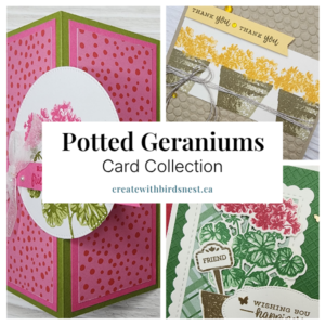 Potted Geraniums Card Collection