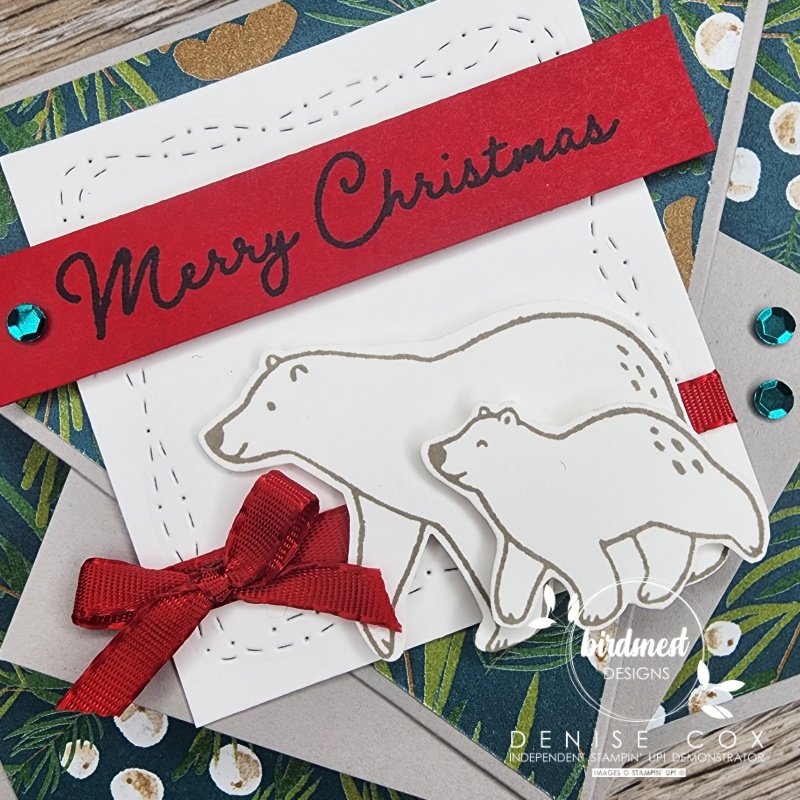 Close up photo of the polar bears on the Christmas Card