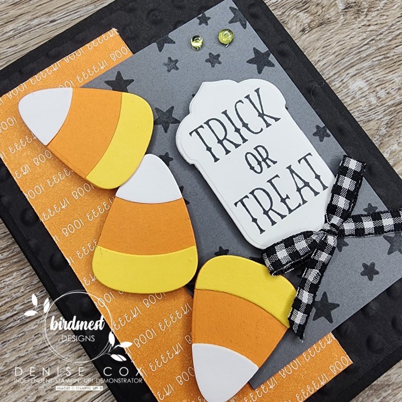 Close up photo showing the front of the Stampin' Up! Tricks & Treats pop out card