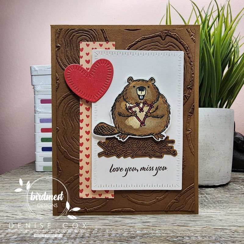 Photo showing the Fluffiest Friends card displayed standing up next to a plant