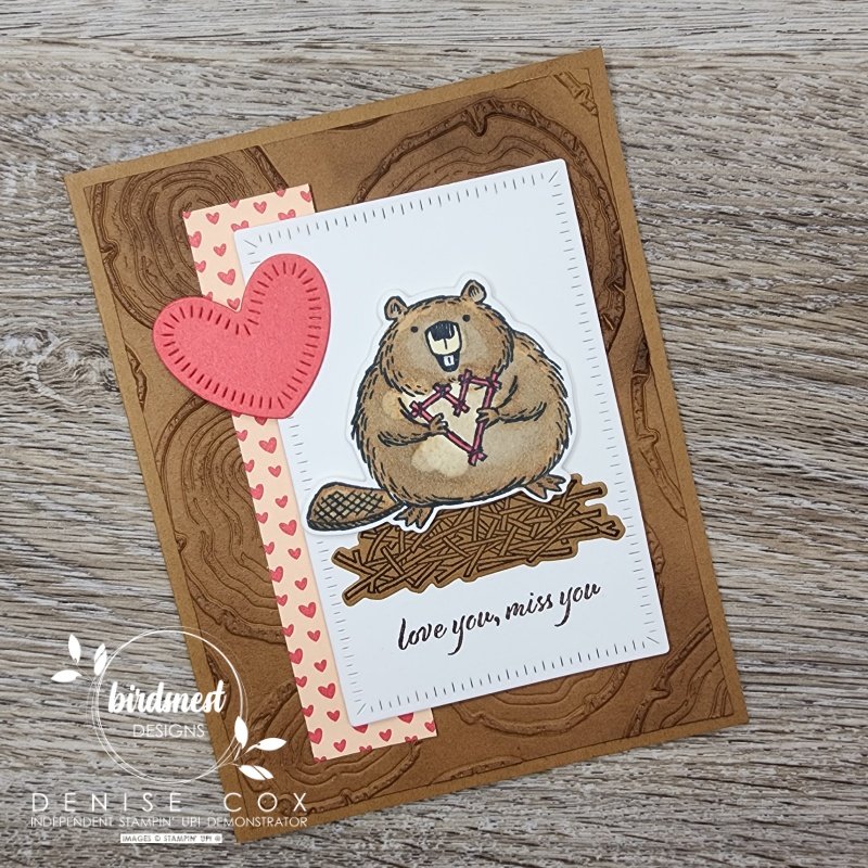 Card showing the front of the Stampin' Up! Fluffiest Friends Valentine's Day card