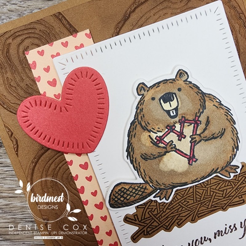 Close up photo of the beaver stamped and coloured on the card front. Image from the Stampin' Up! Fluffiest Friends bundle