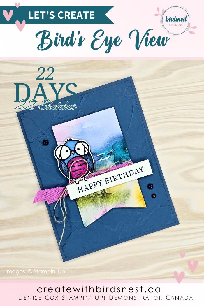 Having A Hoot with Bird&rsquo;s Eye View  &ndash; Sketch 7 via @denise34