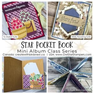 Mini Album Star Pocket Tutorial Package: To Market & Wildly Flowering