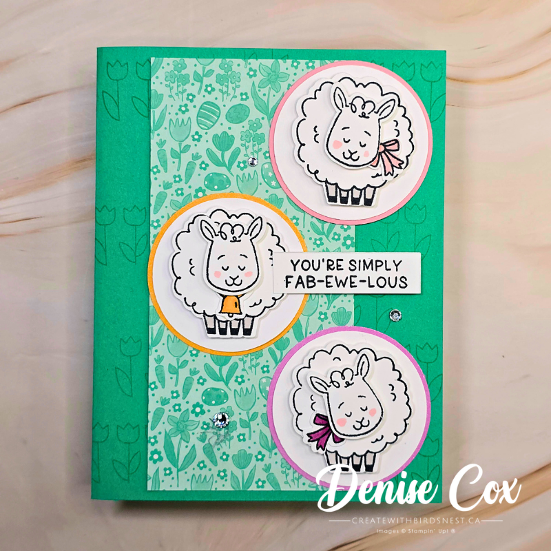 Stampin Up Woolly Friends bundle handmade card with sheep images and layered circle card layout